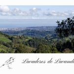 Lavaderos de Lavandera